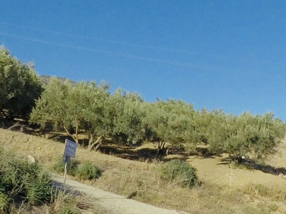 Finca i Mondron, Malaga - foto 2